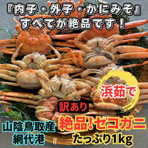 【22031】鳥取網代港【訳あり】浜茹で！絶品セコガニ1kgセット※お届けは2026年11月中旬～【さかなや新鮮組】