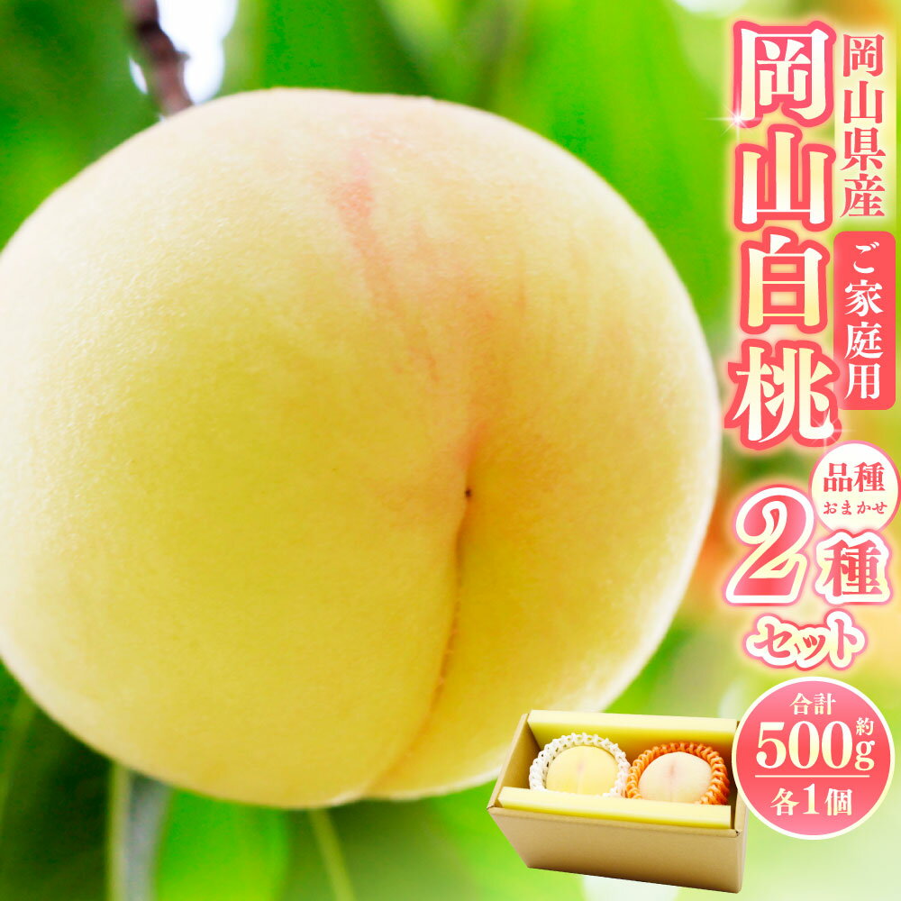 【ふるさと納税】【 ご 家庭用 】 岡山 白桃 2種2玉 500g （ 計 1kg ） 【2026年7月上旬から9月上旬頃発送予定】果物 くだもの フルーツ もも 桃 甘い 香り 柔らかい ジューシー 美味しい 岡山県 美咲町 送料無料
