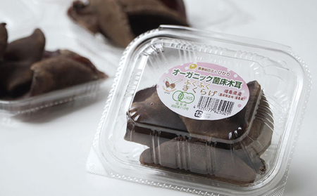 生きくらげきのこ菌床オーガニック有機JAS生きくらげ【約500g】