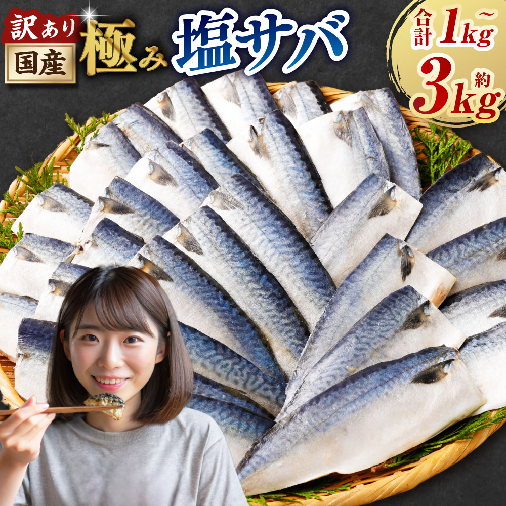 【ふるさと納税】＜選べる内容量＞訳あり 国産ふっくら 極み塩サバ 1切れ約50～150g 約1kg 約2kg 約3kg さば 鯖 魚 さかな サカナ 魚介類 味付け済 焼くだけ 簡単調理 冷凍 国産 茨城県 神栖市 送料無料