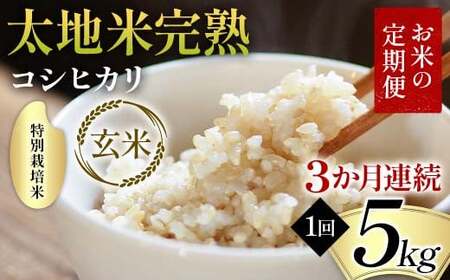 【先行予約】お米の定期便 特別栽培米 太地米完熟 【こしひかり】 玄米5kg×3か月連続 ブランド米 お米 人気 F7X-0704