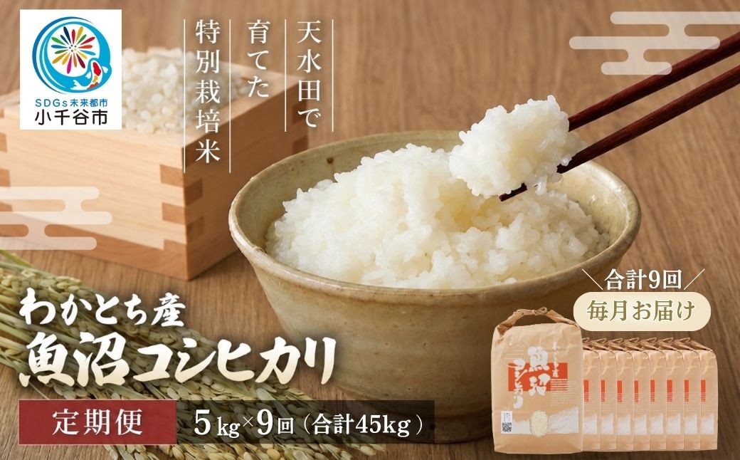 
                  【9か月定期便 コシヒカリ】令和8年産 魚沼産コシヒカリ 特別栽培米 わかとち産 棚田米 合計45kg（5kg×毎月お届け全9回）Mt.ファームわかとち | 魚沼産こしひかり 魚沼コシヒカリ 新潟県産コシヒカリ 新潟産コシヒカリ こしひかり 特別栽培米 棚田米 わかとち お米 米 白米 精米 コメ 5キロ 定期便 にいがた おぢや 新潟県 小千谷市 【0013-00017DB00】
                