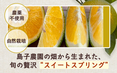 【先行予約】【数量限定】鹿児島県南大隅町産 スイートスプリング 約5kg 【2025年12月中旬以降順次発送】 SK-10 | 柑橘 フルーツ 国産 果物 みかん 期間限定 数量限定 産地直送 もぎた