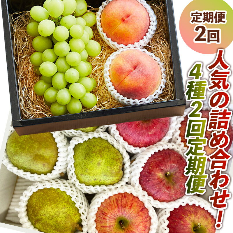 【ふるさと納税】【定期便2回】人気の詰め合わせ！4種2回定期便【令和7年産先行予約】 FS24-087 くだもの 果物 フルーツ 山形 山形県 山形市 2025年産