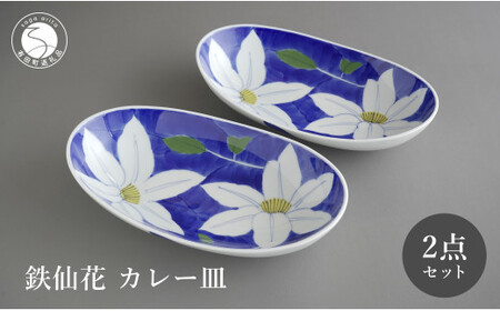 有田焼 食洗機対応 鉄仙花カレー皿 2点セット【泰山】食器 器 うつわ 皿 楕円皿 ボウル ey014