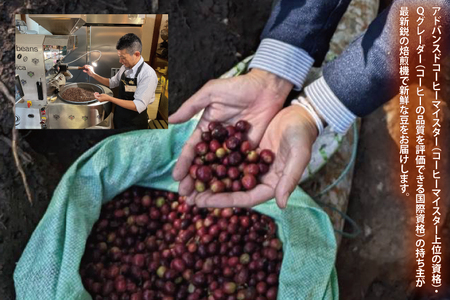 KINGDOM COFFEE BY ROYAL PROJECT(キングダム　コーヒー　バイ　ロイヤルプロジェクト）約200g｜コーヒー 珈琲 焙煎 マイスター コーヒー 豆 コーヒーマイスター(CO0