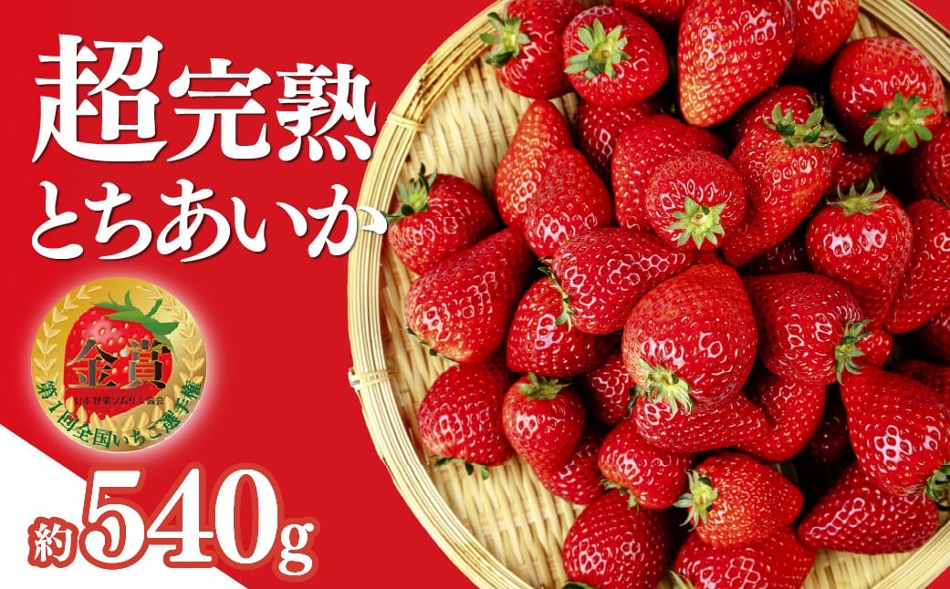 
            いちご 第１回いちご選手権 金賞受賞 とちあいか レギュラーサイズ 約270g × 2パック 合計 約540g【選べる発送月】 | いちご イチゴ 苺 ストロベリー とちあいか 完熟 甘い あまい 第１回いちご選手権金賞 果物 フルーツ くだもの 旬 産地直送 栃木県産 美土里農園 栃木県 茂木町
          