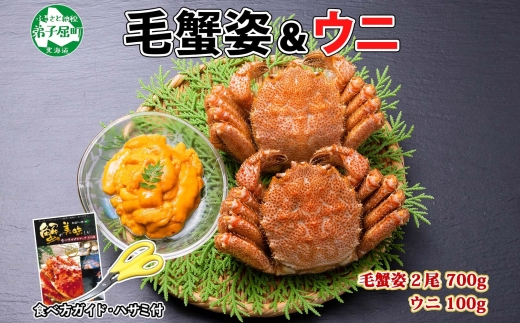 2460. 毛蟹 2尾 計700g前後 うに チリ産 冷凍 100g 専用ハサミ・食べ方ガイド付き 毛ガニ 毛がに 蟹 カニ かに 蟹肉 カニ味噌 雲丹 海鮮 ボイル 送料無料 北海道 弟子屈町