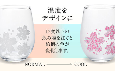 温度で変化する器 フリーグラス 『冷感舞桜』　 多治見市 / 丸モ高木陶器[TBA263]