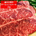 【ふるさと納税】高岡育ちの越中万葉牛 贅沢セット（すき焼き用約350g＋ステーキ用約200～250g×2） サーロイン 牛 肉 ステーキ すきやき スキヤキ 国産 セット　牛肉 お肉 牛肉 お肉 牛肉 お肉