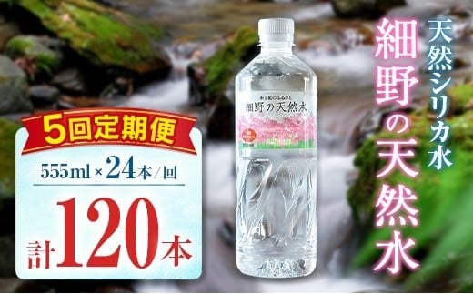 【定期便】 天然シリカ水 細野の天然水 555ml 24本 5回 中硬水 ミネラルウォーター シリカ ケイ素 霧島連山の贈り物 常温保存 備蓄 防災 宮崎県 555ml×24本（1箱）×5回定期便