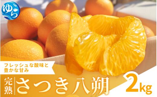 完熟さつき八朔 2kg【kzmn022-r-2】