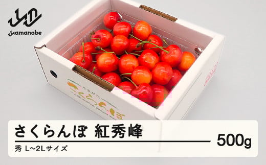 先行予約 さくらんぼ 紅秀峰 秀品 L-2L玉 500g バラ詰 2025年産 令和7年産 山形県産 mm-bsbax500