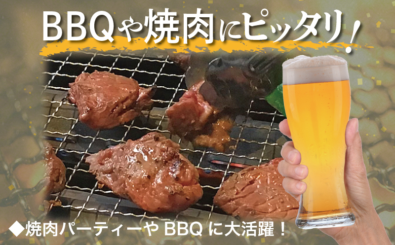【満足牛ハラミ】オリジナルスパイス仕込み 400g【味付け ハラミ 小分け 焼くだけ 簡単調理 BBQ 牛肉 200g×2P】 G3448_イメージ3