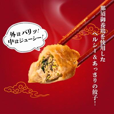 ふるさと納税 宇都宮市 宇都宮餃子 運気アップ餃子　那須御養鶏の餃子18個　保存料不使用 |  | 01