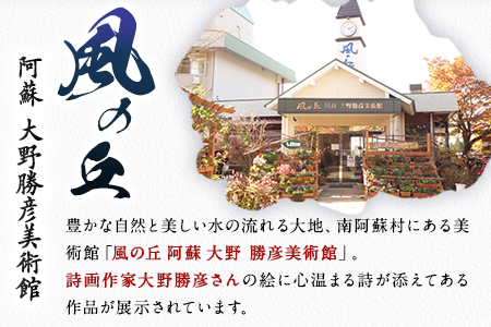 大野勝彦＜2018年発行＞詩画集『逃げるな』風の丘阿蘇大野勝彦美術館《60日以内に順次出荷(土日祝を除く)》美術館 詩