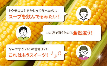 【先行受付2026年発送】生でもすごく甘い！生きた土壌で育った『とうもろこし』2Lサイズ12本｜里山JAPAN　※2026年7月中旬以降発送予定