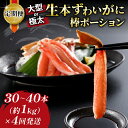 【ふるさと納税】 カニ定期便 4回 大型 or 極太 生本ずわいがに 棒ポーション 1kg × 4回 ニューバーク カニ kani 蟹定期便 本ずわいがに ずわいがに ずわい蟹 蟹 カニ棒肉 生蟹 カニしゃぶ 人気のカニ 甲殻類 人気 冷凍 むき身 パック 鍋 刺身 愛媛 宇和島 D110-116010