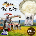 【ふるさと納税】 米 定期便 上総千年米 コシヒカリ 令和6年産 20kg 6ヶ月 計120kg | 送料無料 お米のソムリエが 選 白米 精米 粒立ちが大きく 甘みもあり 粘り強い お米と雑穀の専門店 石川商店 君津 きみつ 千葉