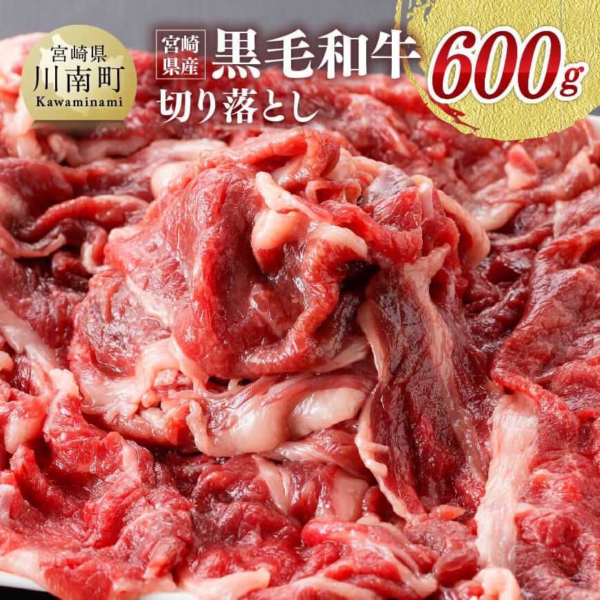 宮崎県産黒毛和牛 切り落とし 600g　牛肉[G0511]