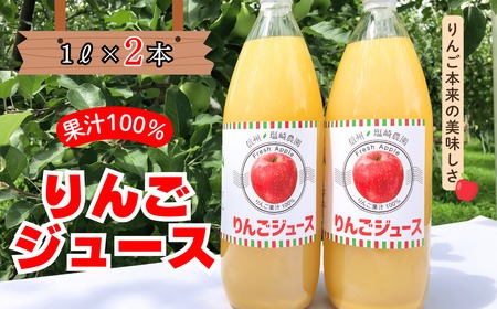 【果汁100%】りんごジュース 1L×2本 （At-001）