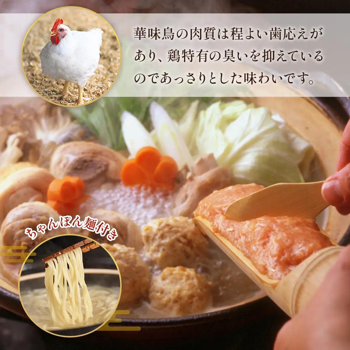 博多華味鳥　水たきセット　ちゃんぽん麺付き(3～4人前)　AV002