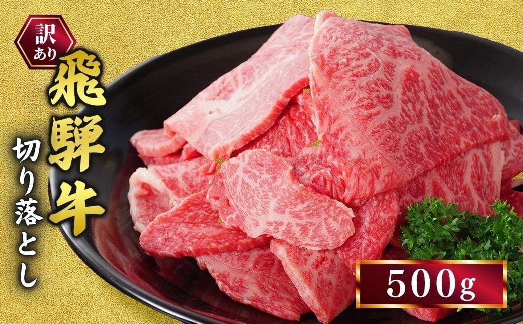 
            訳あり 飛騨牛 焼き肉用 切り落とし 500ｇ ｜牛 牛肉 焼肉 BBQ バーベキュー 切り落とし 訳あり飛騨牛 牛肉飛騨牛 飛騨牛切り落とし 牛肉焼肉 飛騨牛焼肉 焼肉切り落とし BBQ飛騨牛 牛肉BBQ 飛騨牛肉 飛騨ギュウ 飛騨ぎゅう きりおとし 切落し やきにく 焼き肉 国産牛肉 和牛 黒毛和牛 牛肉切り落とし 飛騨 霜降り カレー 飛騨牛カレー 牛肉カレー  肉カレー 牛カレー ひだ
          