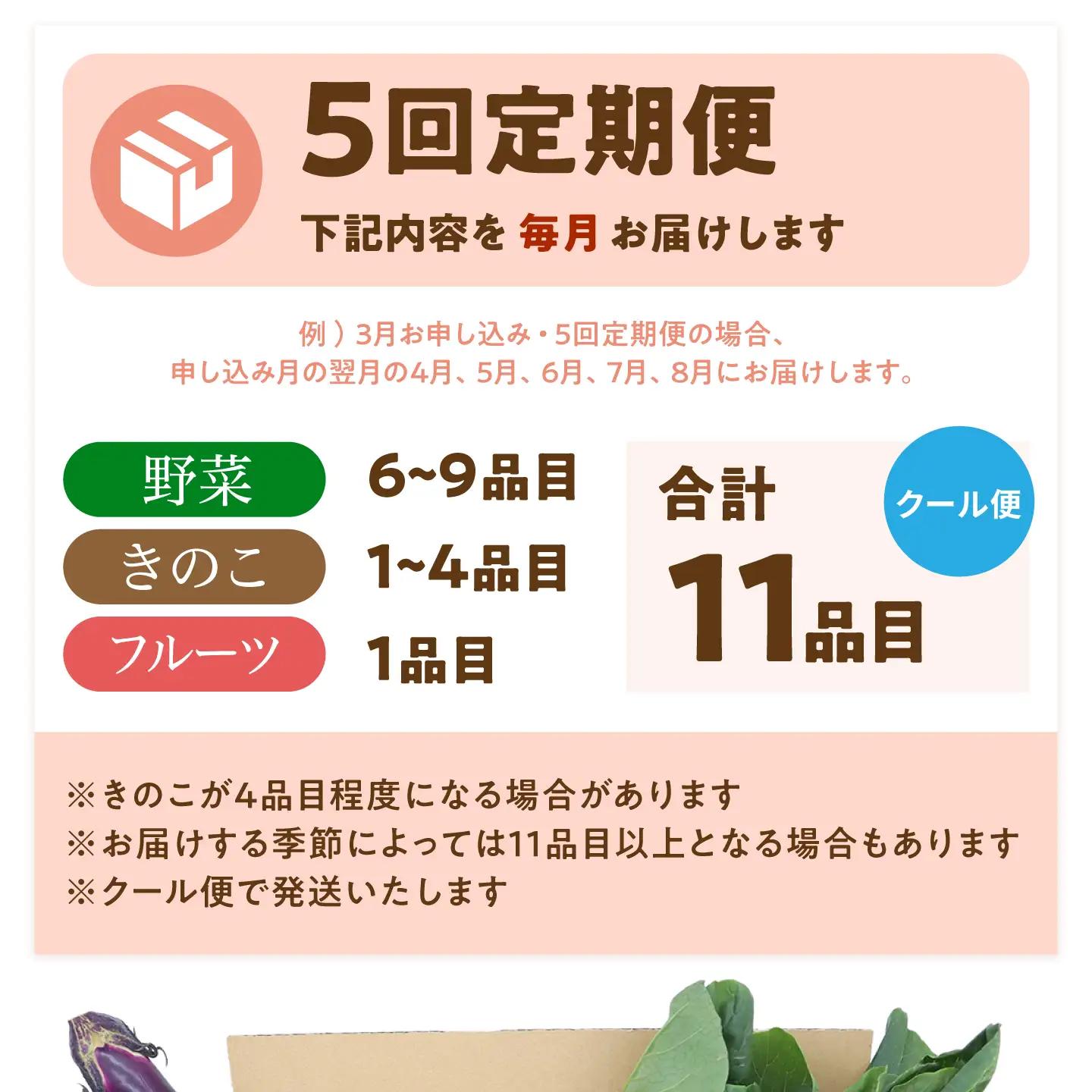 【毎月コース】野菜 キノコ 果物 11品目 詰め合わせ 5回 定期便  / 南島原市 / 吉岡青果[SCZ032]