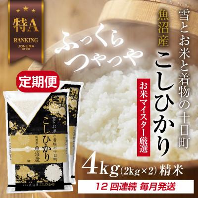 ふるさと納税 十日町市 【毎月定期便】魚沼産 コシヒカリ 4kg 精米 (お米の美味しい炊き方ガイド付)全12回