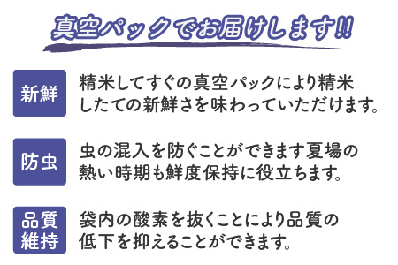 【令和7年産・新米】（玄米）【3ヶ月連続お届け】特別栽培米 コシヒカリ匠4kg × 3回 計12kg  栽培期間中農薬不使用 / コシヒカリ こしひかり 白米 お米 [F-2922_02]