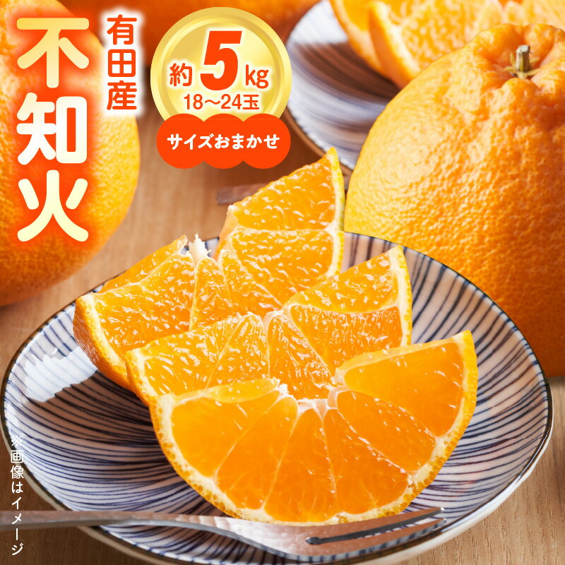 【ふるさと納税】【限定】【2026年先行予約】 高評価 有田産 不知火 約 5kg サイズ おまかせ 18~24玉 ひとつひとつ 手選別 厳選 濃厚 甘味 プリプリ 果肉 手で剥ける 産地直送 デコポン 柑橘 果物 フルーツ 果実 食品 食べ物 デザート お取り寄せ 和歌山県 湯浅町 送料無料