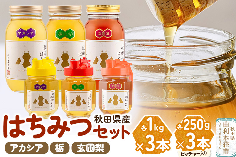 小松養蜂場 はちみつ 秋田県産 100％ 秋田のはちみつ6本セット 合計3.75kg（アカシア,栃, 玄圃梨 各1Kg×1本+ピッチャー入250g×1本)