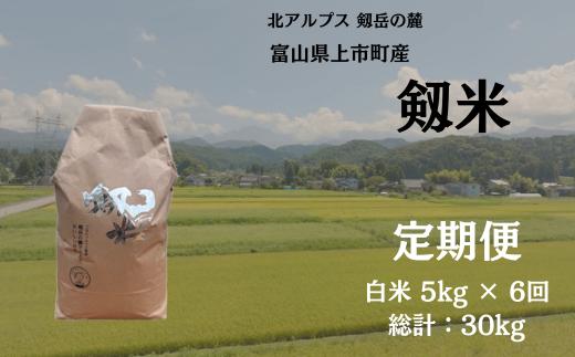 【毎月1回お届け】【定期便】【令和7年産】上市町産コシヒカリ「剱米」（白米）5kg x 6回 計30kg　 [ソムリエH 富山県 上市町 32280254-r6-03】 米 ６ヶ月 6回定期便 定期購入 お米 コメ ご飯 ごはん 白米ご飯 白米ごはん こしひかり