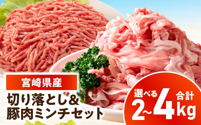 
                  【選べる内容量】宮崎県産豚肉 切り落とし＆豚肉ミンチセット_kn126-003-SKU
                