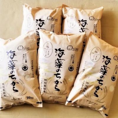 ふるさと納税 小矢部市 【毎月定期便】ミルキークイーン(海藻のちから)(精米)10kg全5回 |  | 01
