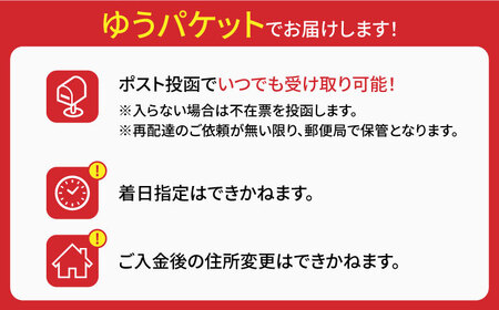 手延べうどん あごだしスープセット 計4食 うどん [SAQ011]