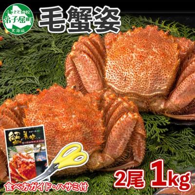 ふるさと納税 弟子屈町 毛蟹 姿 2尾 計1kg前後 ボイル 食べ方ガイド・専用ハサミ付 北海道 弟子屈町 3319