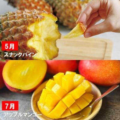 ふるさと納税 名護市 【発送月固定定期便】一番美味しい時期にお届け!旬の南国フルーツ定期便全6回 |  | 02