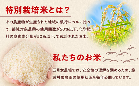令和7年産 精米 特別栽培米 コシヒカリ「五月女農場のお米」(5kg)  2025年10月~順次発送 |新米 農家直送 産地直送 産直 栃木県 大田原市 こしひかり