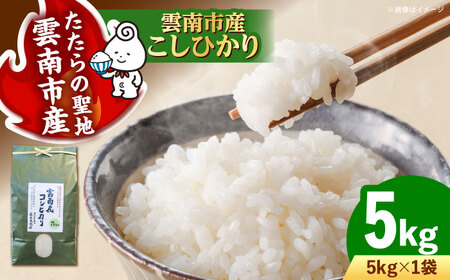 【令和7年産】雲南市産米 コシヒカリ 白米 5kg（5kg×1袋）精米 [AIDB105] 