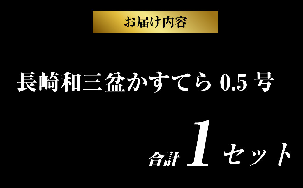 【カットあり】長崎和三盆かすてら0.5号 カステラ デザート スイーツ 琴海堂