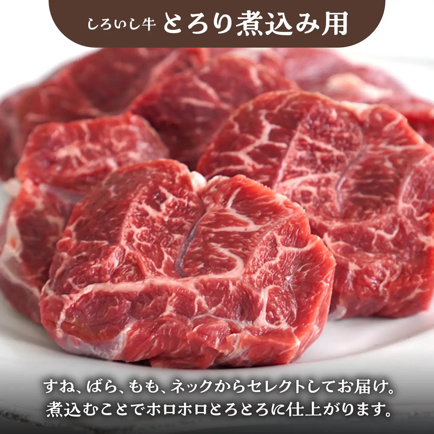 食卓にうれしいバラエティ セット（白富牛 手ごねハンバーグ 4個＆切り落とし 500g＆とろり煮込み用 1kg） 佐賀セントラル牧場 [IAH193]