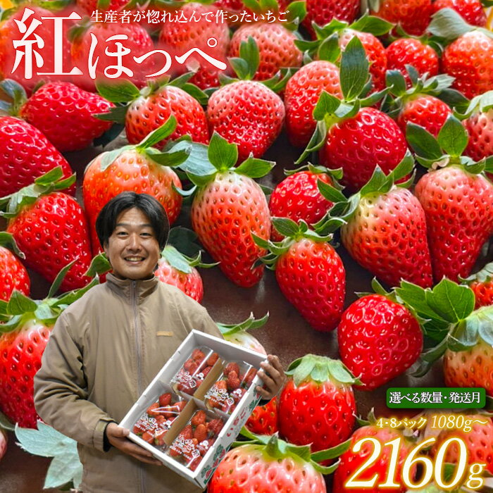 【ふるさと納税】【1月～3月発送】紅ほっぺ