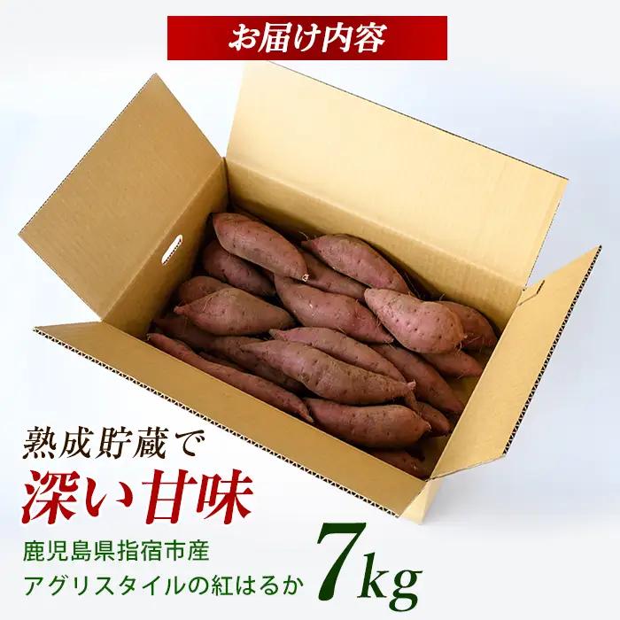 2026年11月上旬～発送 指宿産 紅はるか 約7kg IB066-006 さつまいも