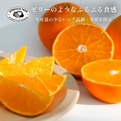 【創業108年】愛媛みかんの老舗厳選【贈答用】媛果まどんな3kg【E70−44】【1537310】
