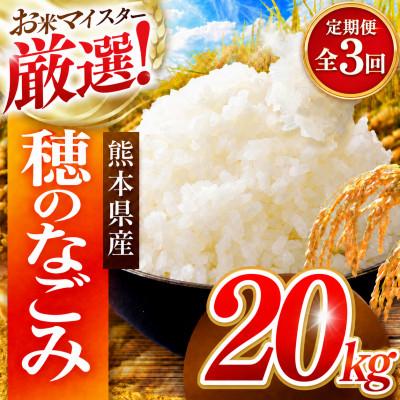 ふるさと納税 和水町 【毎月定期便】熊本県 穂のなごみ 白米 20kg (ブレンド米)全3回