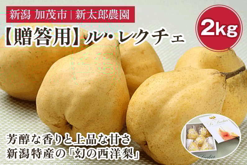 
            【2025年先行予約】【贈答用】幻の洋梨 ル・レクチェ2kg （5～7玉） 《11月下旬から順次発送》 化粧箱入り 果物 フルーツ ギフト 贈答  加茂市産ル・レクチェ  梨 西洋梨 加茂市 新太郎農園
          