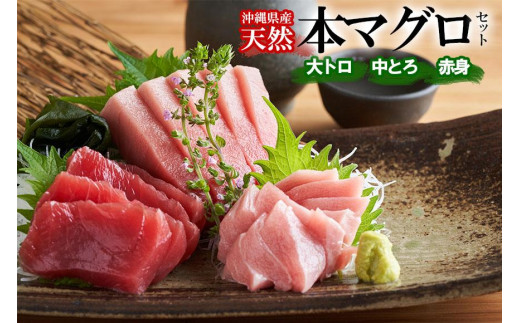 
【希少！】沖縄県産 天然本マグロセット 約1kg ( 赤身約400g & 中トロ約300g & 大トロ約300g )｜マグロ 刺身 セット
