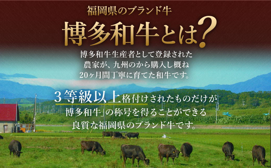 【数量限定 訳あり】【A4・A5】博多和牛 切り落とし 300g×4パック 合計1.2kg