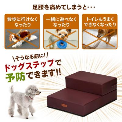 ふるさと納税 太田市 PetStyle ドッグステップ メッシュ生地 ソフトタイプ 通常幅40cm (ブラック) |  | 01